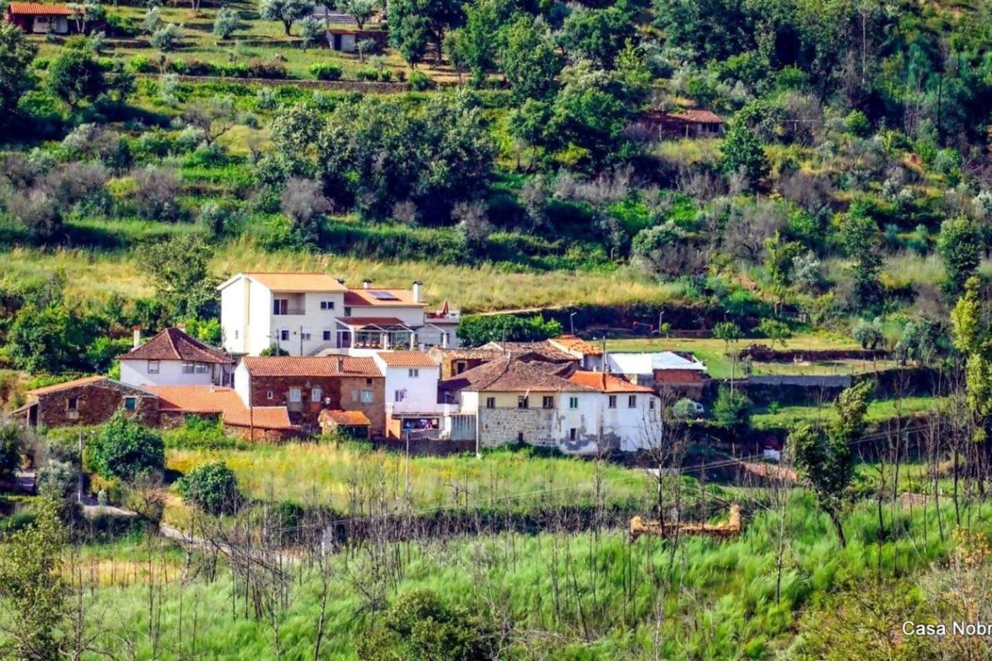Retiro Na Natureza Casa Com Piscina Digueifel Dış mekan fotoğraf